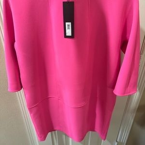 Fuchsia Seamed Dress Never Worn SÚPER CUTE!